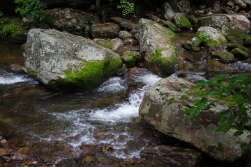 Naklejka na ściany i meble River Water Flowing Through Moss Covered Rocks in Jefferson National Forest in Giles, Virginia in Summer