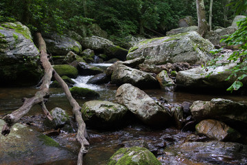 River Water Flowing Through Moss Covered Rocks in Jefferson National Forest in Giles, Virginia in Summer