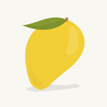 Hand drawn mango fruit illustration
