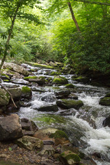 River Water Flowing Through Moss Covered Rocks in Jefferson National Forest in Giles, Virginia in Summer
