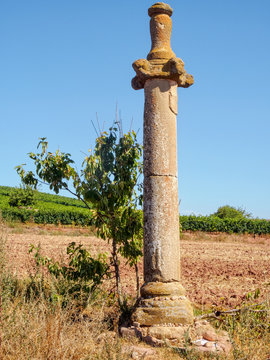 16th-century la picota (columna justicia) on the Camino - Azofra, La Rioja, Spain