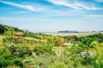 Fototapeta na wymiar Green nature park and trail road in Daebudo, Ansan, Korea