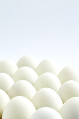 white eggs on a white background