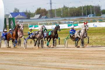 Russia, Novosibirsk, September 5, 2015: Horse racing at the racetrack
