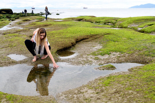 People exploring the intertidal zone of Vancouver, British Columbia