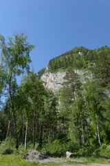 Mountain landscape. Altai. Western Siberia