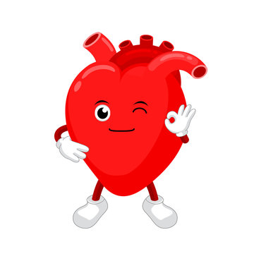 Cute and funny, smiling red heart character. Human internal organ mascot showing okay hand sign. Healthcare concept, vector illustration isolated on white background.