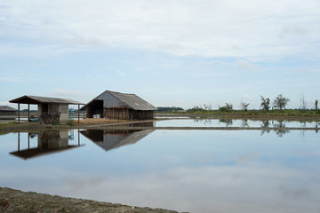Obraz premium Textures Reflection water Light Storehouse Salt pan in Phetchaburi Thailand