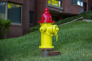 Yellow and red fire hydrant downtown