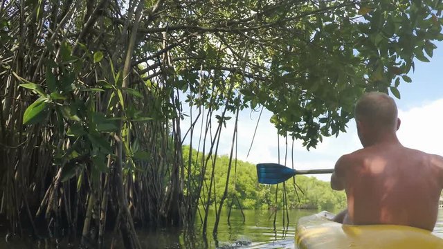 Person on the kayak paddles their way out the bushes and reeds