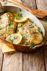 Traditional Mediterranean food: baked trout fillet with garlic butter sauce, lemon and parsley...