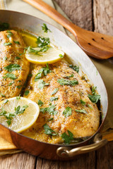 Spicy baked trout fillets with garlic butter sauce, lemon and parsley close-up in a copper frying pan on a table. vertical