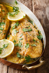Homemade trout fillet recipe with garlic butter sauce, lemon and parsley close-up in a copper frying pan on the table. vertical