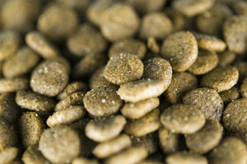 Croccantini per cane