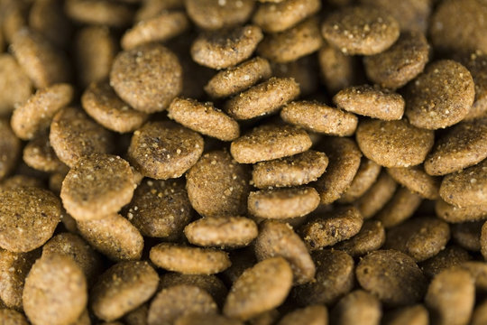 Croccantini per cane