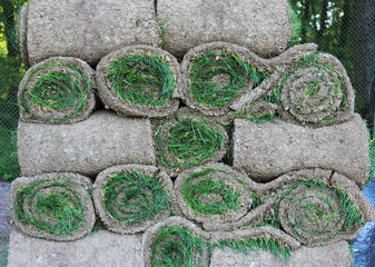 stacks of sod rolls for new lawn in the Gatchina park.