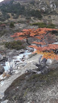 Laguna esmeralda