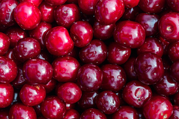 sweet cherry beautiful and juicy berry of summer