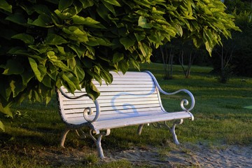 скамейка под деревом © andros1983