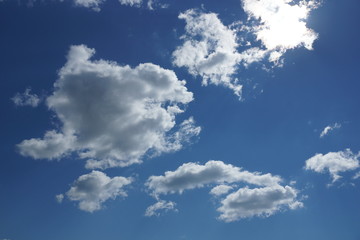 Fototapeta premium white Cumulus clouds on a blue sky background