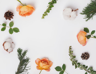 Beautiful plants and flowers on the white background
