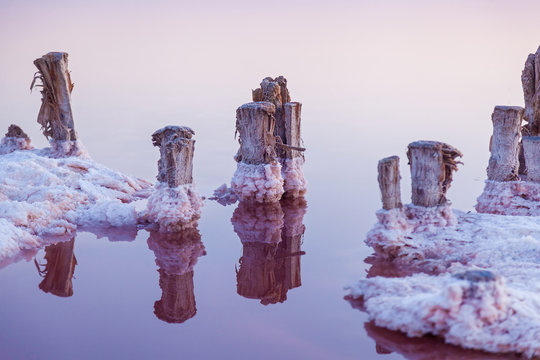 Pink Salt Lake