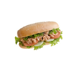 sandwich isolated on white background