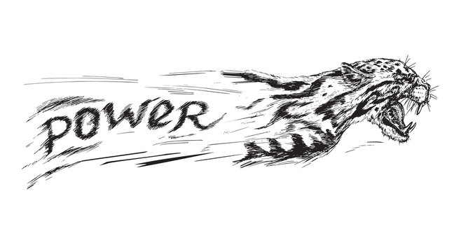 Wildcat growling in profile, has opened an embittered mouth, canines, inscription power in action, hand drawn ink doodle, sketch, vector black and white illustration