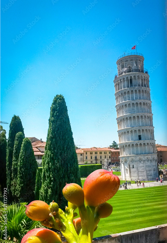 Wall mural leaning tower of pisa and cypress trees, palm trees and bright red summer flowers in foreground, pis