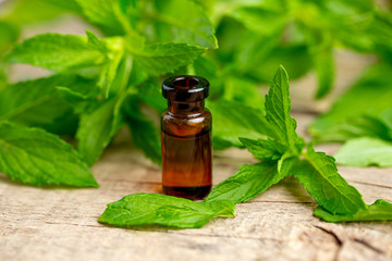Natural Mint essential oil in a glass bottle with fresh min leaves on a wooden background.