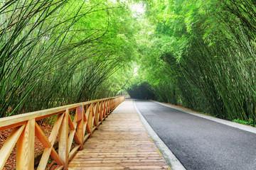 Scenic wooden walkway and road among bamboo woods