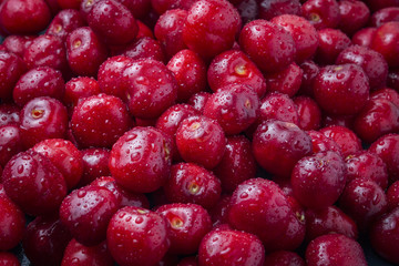 Freshly picked cherries with drops of dew and water. The concept of harvesting. Can be used as a banner, wallpaper, background. Flat lay, top view