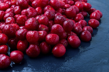 Freshly picked cherries with drops of dew and water on a dark blue stone background. The concept of harvesting. Flat lay, top view