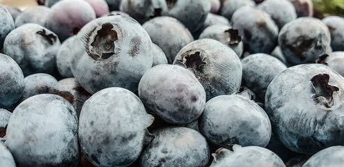 Blueberry with drops of water