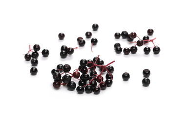 Elderberries isolated on white background, (Sambucus nigra)