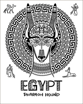Vector image of an Egyptian dog. Ornament of ancient Egypt. God Anubis, the Ankh and the dog Pharaoh.