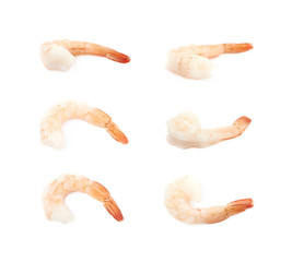 Single shrimp isolated