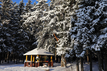 wooden gazebo in forest in winter sunny day