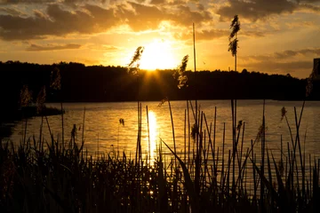 Foto op Plexiglas sunset over a forest lake © AlexZlat