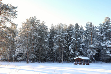 wooden gazebo in forest in winter sunny day