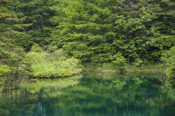 Fototapeta na wymiar 森の湖