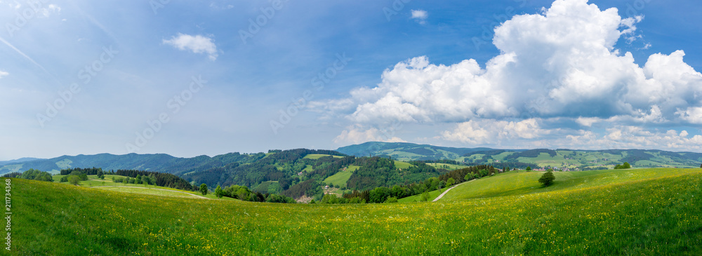 Wall mural xxl endless green landscape of black forest nature region