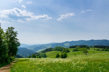 Germany, Hike trails on Lindenberg in panoramic black forest nature landscape