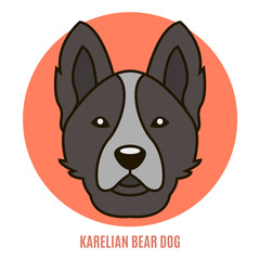 Portrait of Karelian Bear Dog. Vector illustration in style of flat