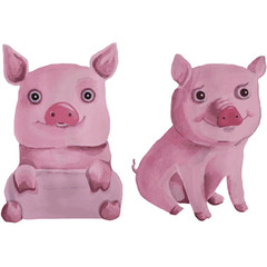 Watercolor pink pigs on white background