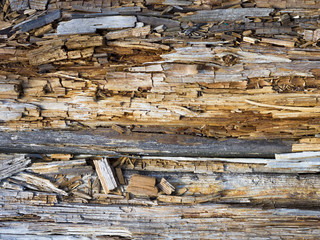 Rotten wood close up and its rotten splinters