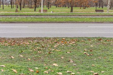 Street city road with asphalt and green lawn with cloudy sky