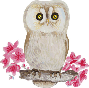 watercolor cute owl and flowers on white background