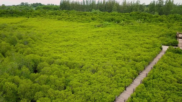 Aerial view, Viewpoint of Mangroves in Tung Prong Thong or Golden Mangrove Field at Estuary Pra Sae, Rayong, Thailand