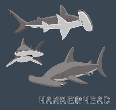 Hammerhead Shark Cartoon Vector Illustration